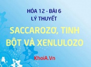 Saccarozơ, Tinh bột, Xenlulozơ Cấu tạo phân tử, tính chất hóa...